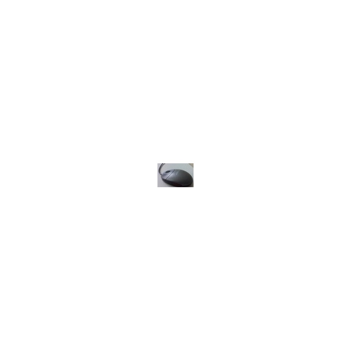 KIT MOUSE