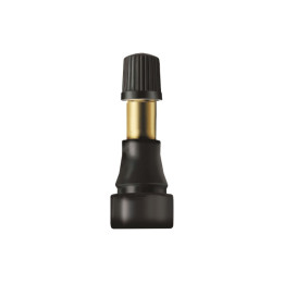 N.1 VALVOLA TUBELESS SNAP-IN Rif.TR 600XHPL=43,5 mm