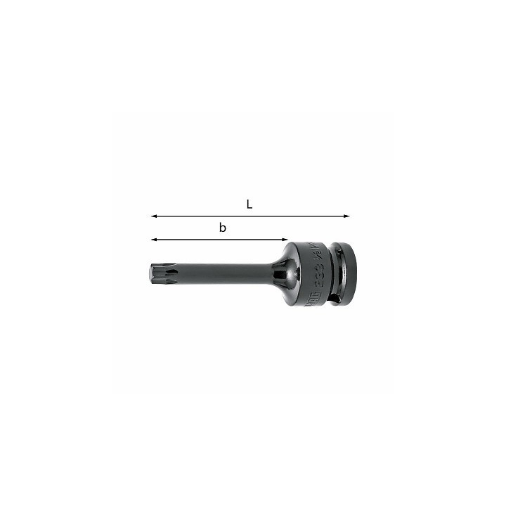 233 1/2" MNTX-T30 - CHIAVE A BUSSOLA